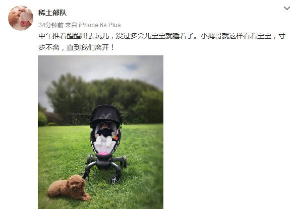 章子怡的幸福生活：一个宝宝一只汪 静静晒太阳