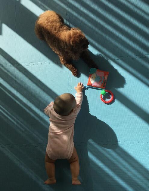 爱女和爱犬沐浴阳光 这是章子怡心中最美的画面