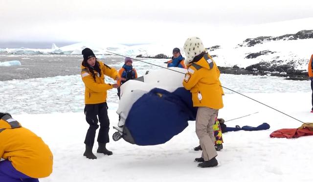 “花样团”露宿南极 林志玲卖力搭帐篷