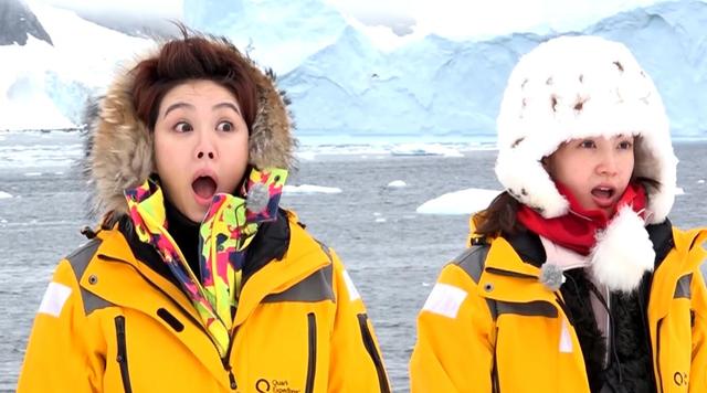 “花样团”露宿南极 林志玲卖力搭帐篷