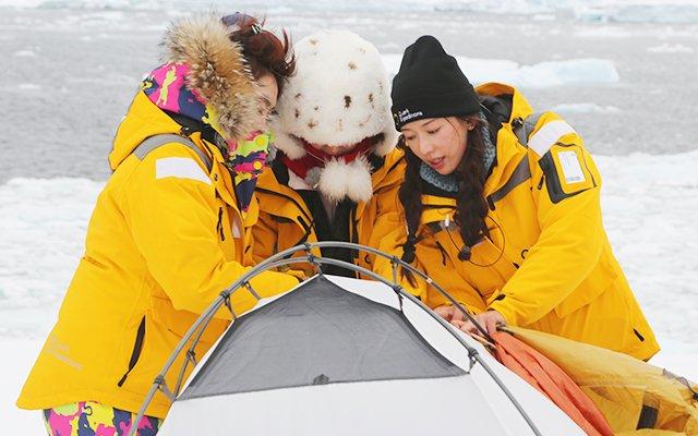 一周综艺：老公宋仲基驾到 迷晕Baby张雨绮