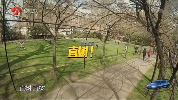 80后的回忆都在这：纪存希和湘琴直树还有挂居