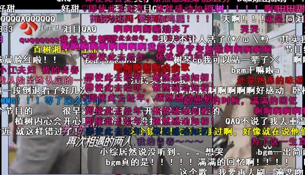 80后的回忆都在这：纪存希和湘琴直树还有挂居