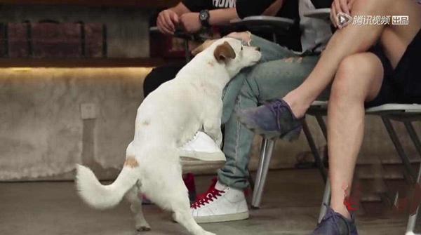 80后的回忆都在这：纪存希和湘琴直树还有挂居