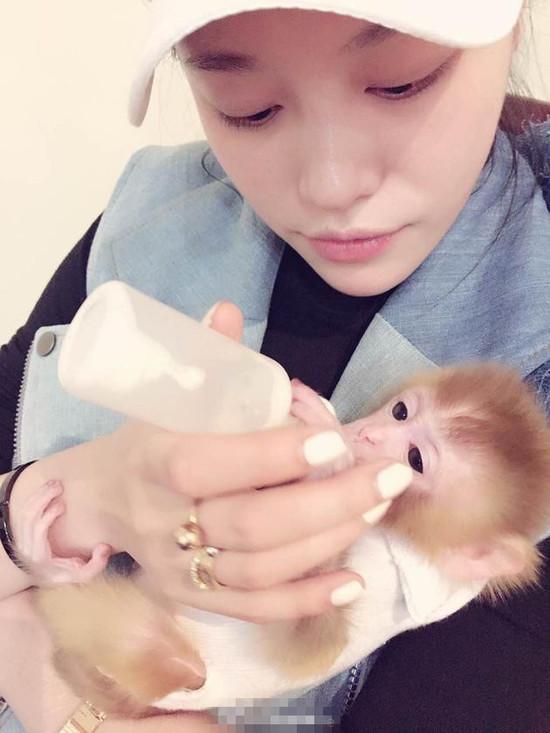 葛荟婕给幼猴喂奶显母爱 网友盼其与女儿过节
