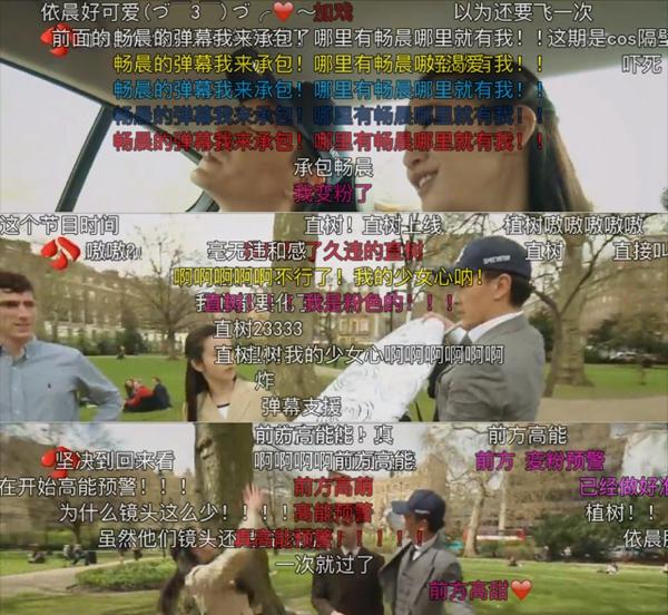 80后的回忆都在这：纪存希和湘琴直树还有挂居