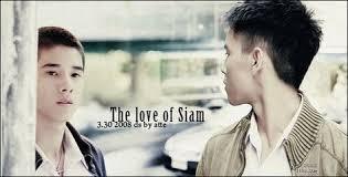 从上瘾到“胡霍”：深度科普无处不在的腐文化