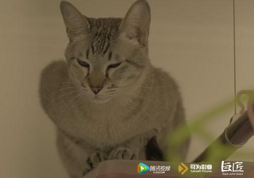 《慎点》发终极预告片 带你进入都市怪谈新世界