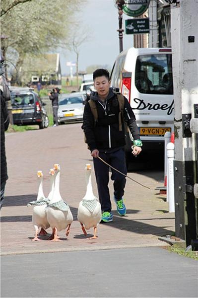 逗趣！非凡好搭档李小鹏与黎明赶鹅还玩甜蜜蜜