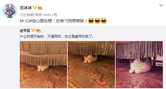 一言不合就发狗粮！范冰冰李晨隔空斗嘴调情