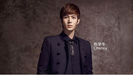 周迅李冰冰黄晓明陈数都把巅峰时的自己给了他