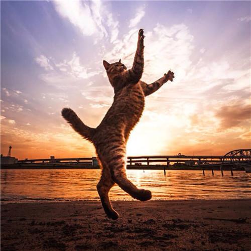 英国脱欧《权力的游戏》躺枪 HBO放话:没影响