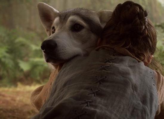 《权游》可能会拍衍生剧？九大线索静待揭秘