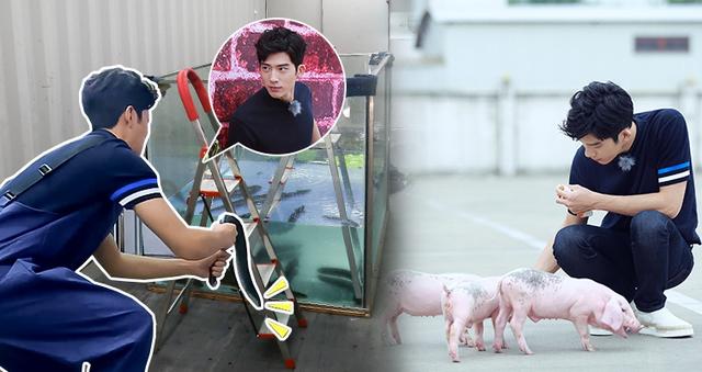 《我们战斗吧》井柏然安静喂猪 与鳗鱼妖娆共舞