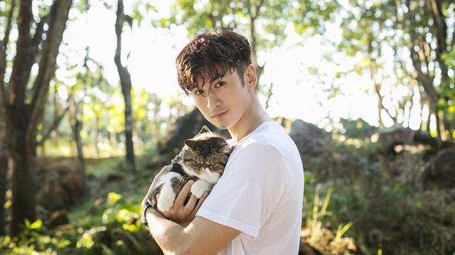 《神犬小七第二季》将播 张云龙变身猫狗铲屎官