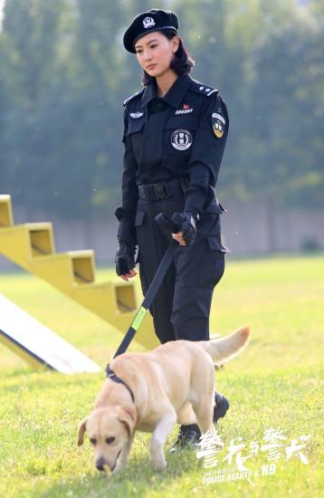《警花与警犬》一言不合就催泪 萌犬化身伪装者