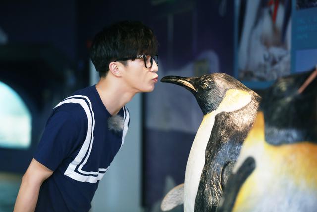 《挑盟》范冰冰献吻白鲸 薛之谦李晨变动物翻译