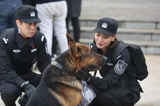 《警花与警犬》侯梦莎:警犬教会我勇敢