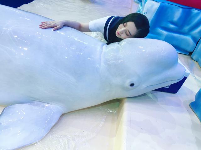 《挑盟》范冰冰献吻白鲸 薛之谦李晨变动物翻译