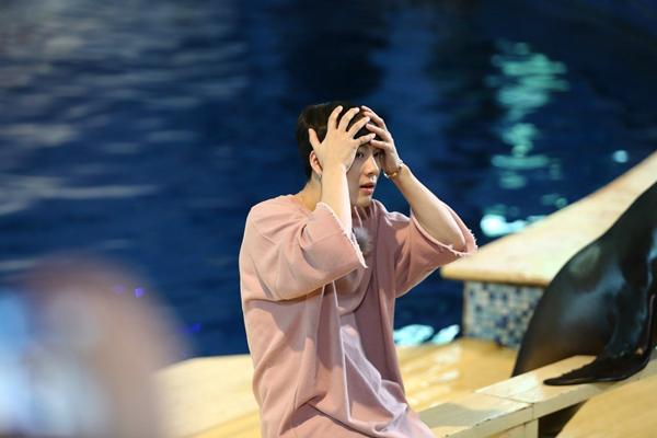 王嘉尔智商竟被海狮碾压 井宝：你是不是sa