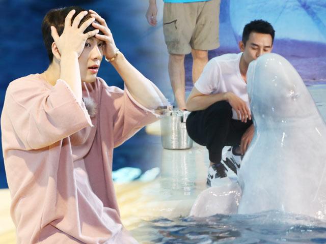 一周总有：王凯王嘉尔斗智 游戏弄哭男神