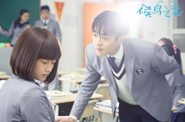 青春欠你一个张若昀!《候鸟之恋》明晚开播