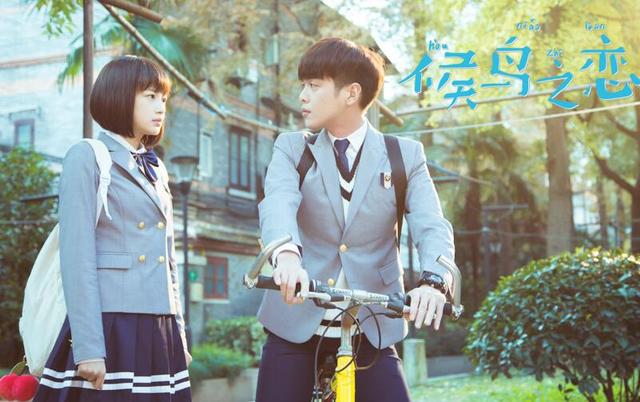 青春欠你一个张若昀!《候鸟之恋》明晚开播