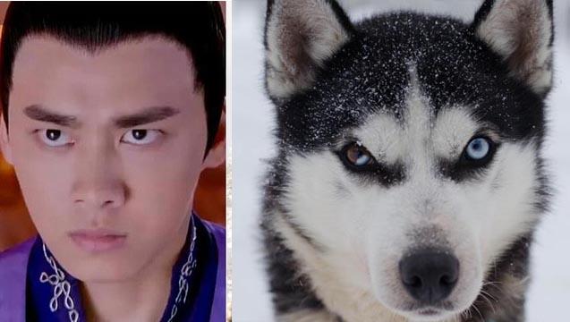 “萌”光靠脸哪够？！有一种演技在线萌叫李易峰