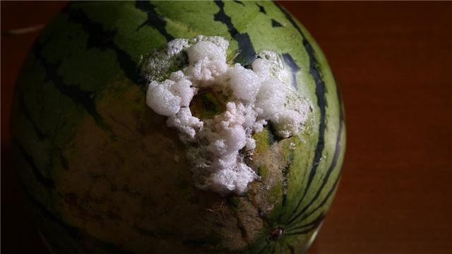 《食鉴出真知》真假酱油之谜