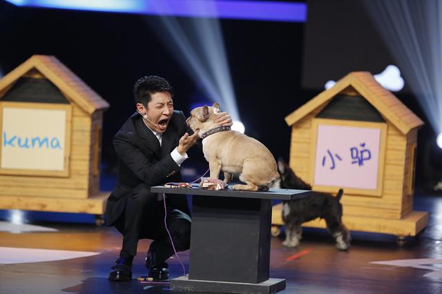 法制主持变“科学怪人” 撒贝宁的科学养成记