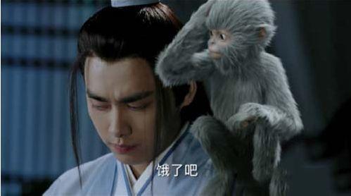 青云大事早知道|易烊千玺上线 碧瑶使计喂小七