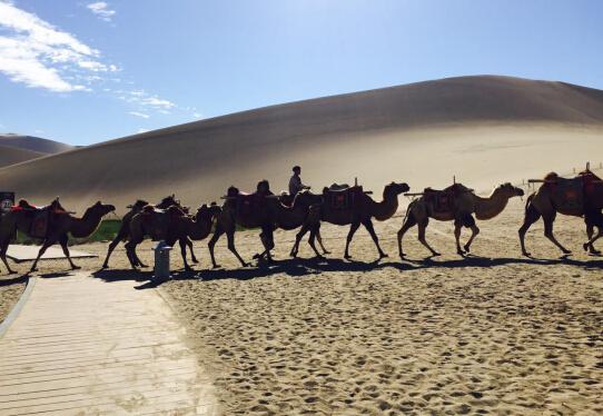 《异战》开机在即 陈键锋确认出演男一号