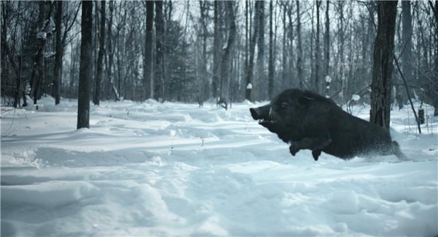 这部让直男激动不已的网剧 竟是部现代版金庸