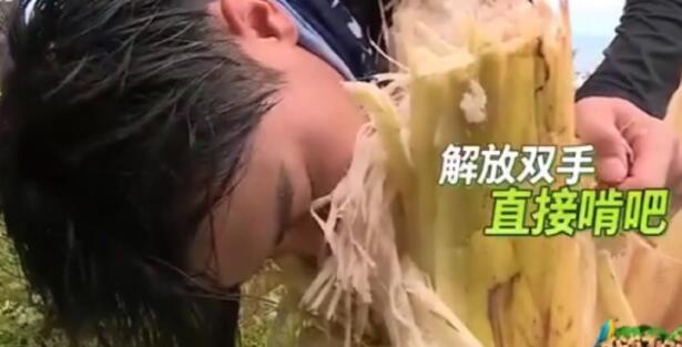 黄子韬傲娇任性，但很多人对他黑转粉是咋回事