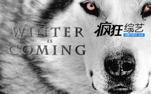 2017综艺市场改走复古风 新模式不靠引进改靠IP