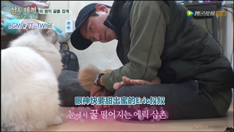 《三时三餐》竟然收罗了这些大神！都是活化石