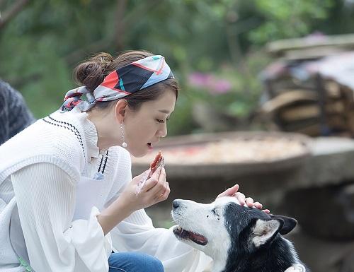 《放抓》迷糊二薇被狼追 陈乔恩哭戏引全民泪奔