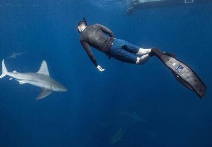 《追婚记》与鲨鱼合影 这样的王阳明你知道吗?