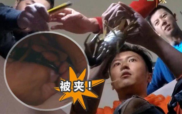 一周综艺：贾乃亮青岛跳广场舞，张继科崴脚受伤