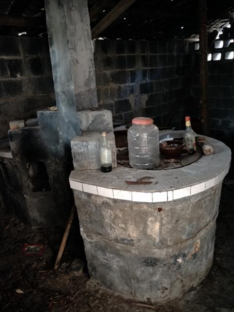 小戏骨《白蛇传》法海带着白素贞山里“修炼”