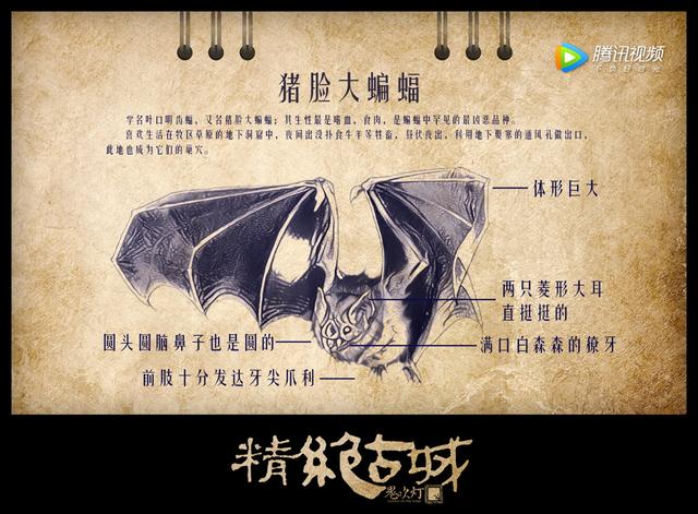 看《鬼吹灯》，学习食用“猪脸大蝙蝠”的7点建议