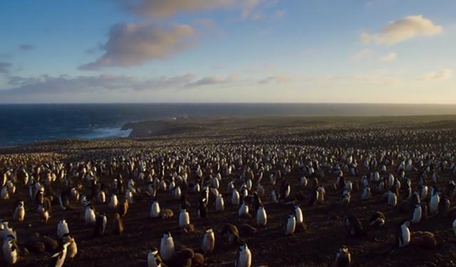 不用再怕剧荒!2016年度英美剧终极榜单一览