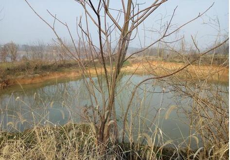 《故乡的原风景》摄制组成立 张患生任制片人