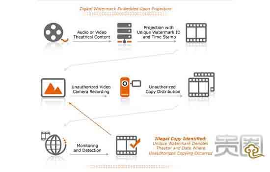 贵圈241期：卧底影视代理团队 盗版产业链的2.0升级