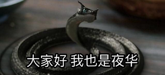 为啥一到古偶剧 此前吃藕的赵又廷都苏倒一片?