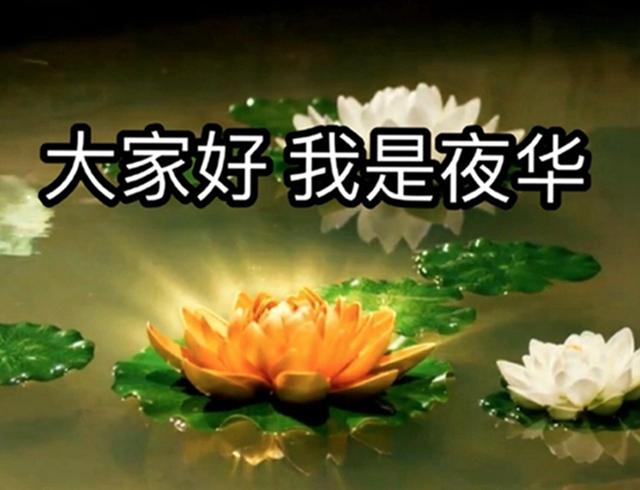 为啥一到古偶剧 此前吃藕的赵又廷都苏倒一片?