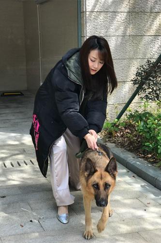 找陈紫函拍戏 剧组有了女一号、饲养员、训犬师