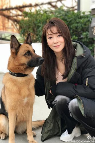 找陈紫函拍戏 剧组有了女一号、饲养员、训犬师