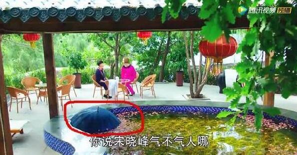 《乡村爱情9》演员胖了又胖 唯有杜悦瘦成闪电