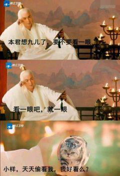 《三生》众仙陪聊变身段子手 百万群众笑疯了!